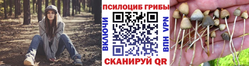 Галлюциногенные грибы ЛСД  ОМГ ОМГ ССЫЛКА  Ленск  дарнет шоп 